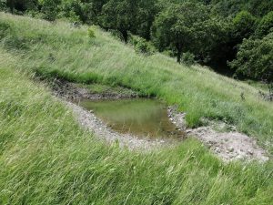 IMG_20220614_131219