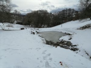 IMG_20230201_113441